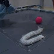 Deformable Lifting