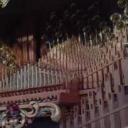 The Centenary Orgen Take On Me