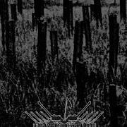 Truppensturm Sodomy