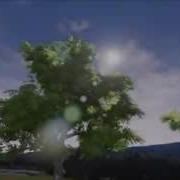 Tree Test UE4