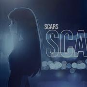 𝐍 𝐒 Scars MEP