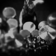 HATE Alchemy Of Blood Napalm Records