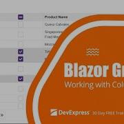 Blazor Grid Column Types Column Resize And Visibility