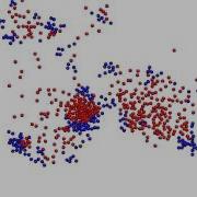 Predator Prey Reaction Diffusion Simulation