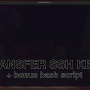 Transfer SSH Keys To Any Host With This Simple Bash Script