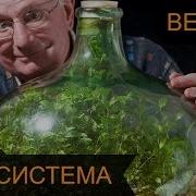 Британец выращивает растение в чудо бутылке