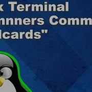 Linux Terminal For Beginners Commands 17 Wildcards