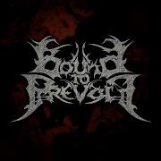 Bound To Prevail Obscene Extreme Festival