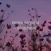 Tame Impala Elephant Lyrics