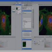 ZEISS ZEN 2 3 Working With 3D Deconvolution CPU DCV