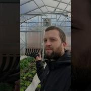Geothermal Greenhouse Idea On A Budget Subscribe For More Gardening Plants Greenhouse Garden