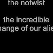 The Notwist The Incredible Change Of Our Alien
