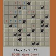 How To CREATE MINESWEEPER GAME USING HTML And CSS For Beginners Project 5