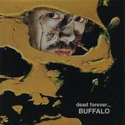 Buffalo Forest Rain