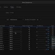 How To Export A Multitrack Audio Output In Premiere Pro