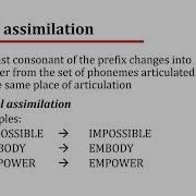 Morphological Processes