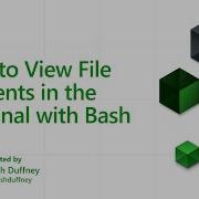 How To View File Contents In The Terminal With Bash 9 Of 20 Bash For Beginners