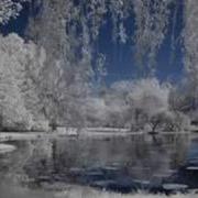 Tombe La Neige SALVATORE ADAMO