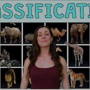 CLASSIFICATION GCSE Biology 9 1 Combined Science Revision Qs