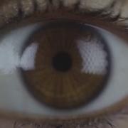 Iris Eye Scanners Getting Longer Range