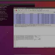 9 Mininet And Wireshark