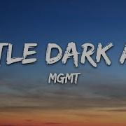 MGMT Little Dark Age Lyrics