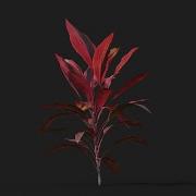 3DMAX TREE ANIMATION Cordyline Rubra TYFLOW TUTORIALS