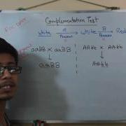 Complementation Test