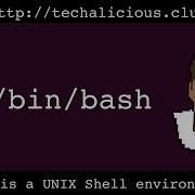 Bash Bourne Again Shell Tutorial Series V1 0 Am I Running Bash
