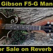 2003 Gibson F5 G Master Model Mandolin For Sale On Reverb Nashville USA Factory F5G