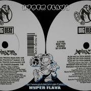 Artifacts Wrong Side Of Da Tracks Flexi Wit Da Tech Nique Whassup Now Muthaf Ka Full VLS 1994