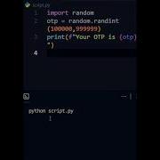 I Made A Fake OTP Generator In Python