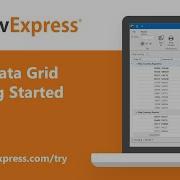 WPF Data Grid Getting Started
