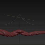 PathConstraint4