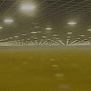 Backrooms No Walls TEST Found Footage