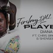 Fireboy DML Chris Brown Diana Official Visualizer Ft Shenseea