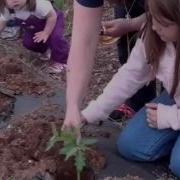 Standards Based Learning