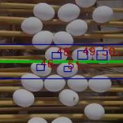 Egg Counter With Computer Vision