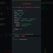 An Example Of JavaScript Functions And Objects Pass An Object To A Function