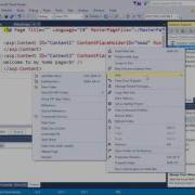 Learn ASP Net Module 3 User Controls Master Pages
