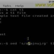 How To Find And Replace Text In A File In BASH Shell Terminal