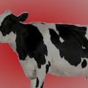 Cow Error 199