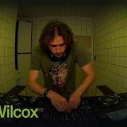 Alex Wilcox HÖR June 13 2026