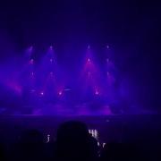 Дельфин 612 Live