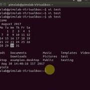 LINUX SCRIPTING IN VI EDITOR AND HOW TO RUN IT
