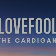The Cardigans Lovefool Lyrics