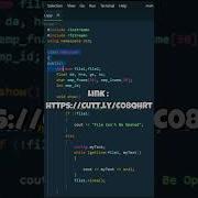 Salary Management System In C Using Inheritance File I O Authentication Shorts Coding
