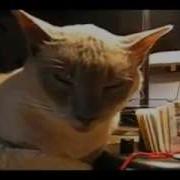 Всего 6 секунд а ржать будете минут 5 Flv