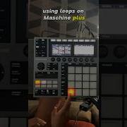 Quick Tip For Using Loops On Maschine Plus