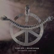 06 This Mortal Coil Carcass HQ 320k